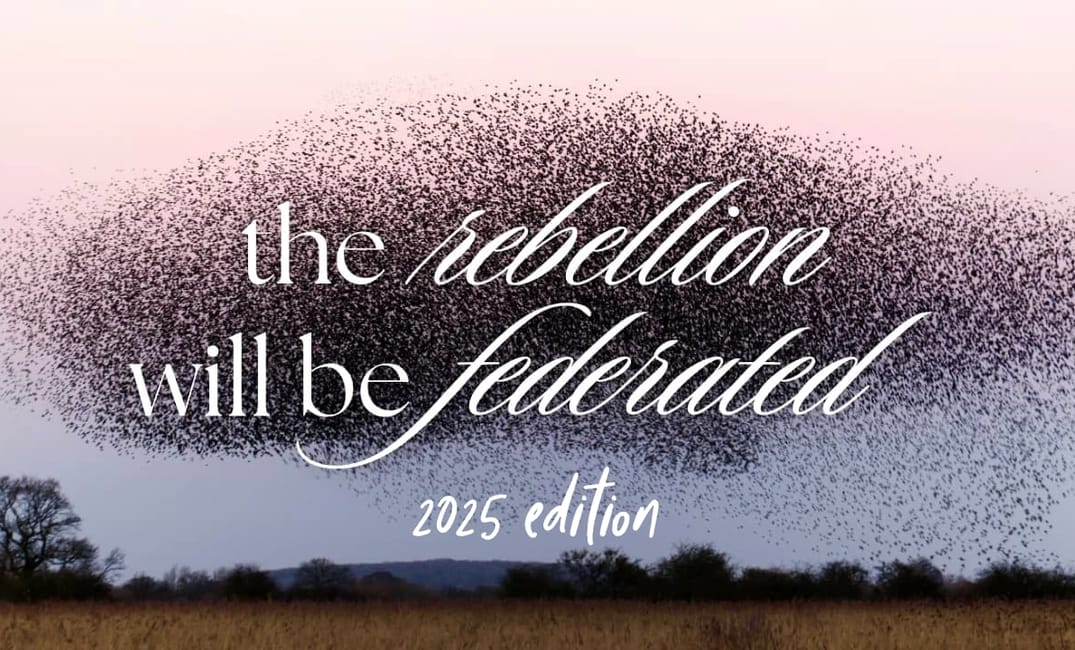 a photo of migrating birds with the title "the rebellion will be federated 2025 edition" on top